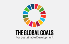 High Level SDG Action Event