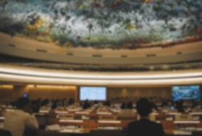 Local Governments and Human Rights: Invitation to a dialogue with the United Nations and contribution of the Committee to the UCLG World Congress