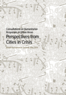 Perspectives from Cities in Crisis