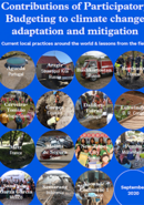 Contributions of Participatory Budgeting to Climate Change Adaptation and Mitigation: Current Local Practices Around the World & Lessons from the Field.
