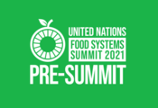 El derecho a la alimentación en las ciudades y regiones en la Pre-Cumbre de Sistemas Alimentarios de la ONU 