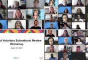 Voluntary Subnational Review Workshops